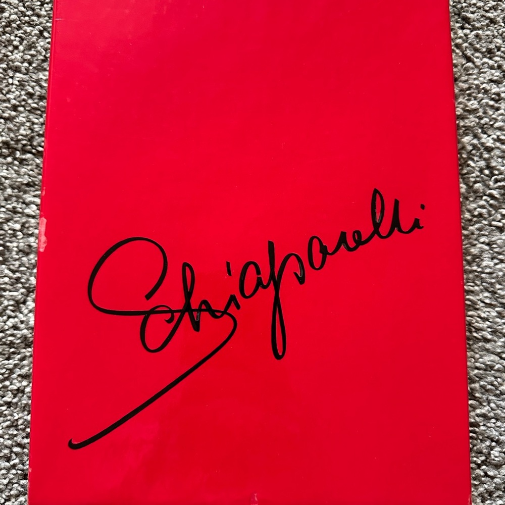 NOT FOR SALE Schiaparelli Vintage Seamless Stockings – Mint, Never Worn